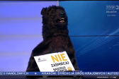 Niedźwiedź w telewizji przypomina: Nie śmieć w moim domu