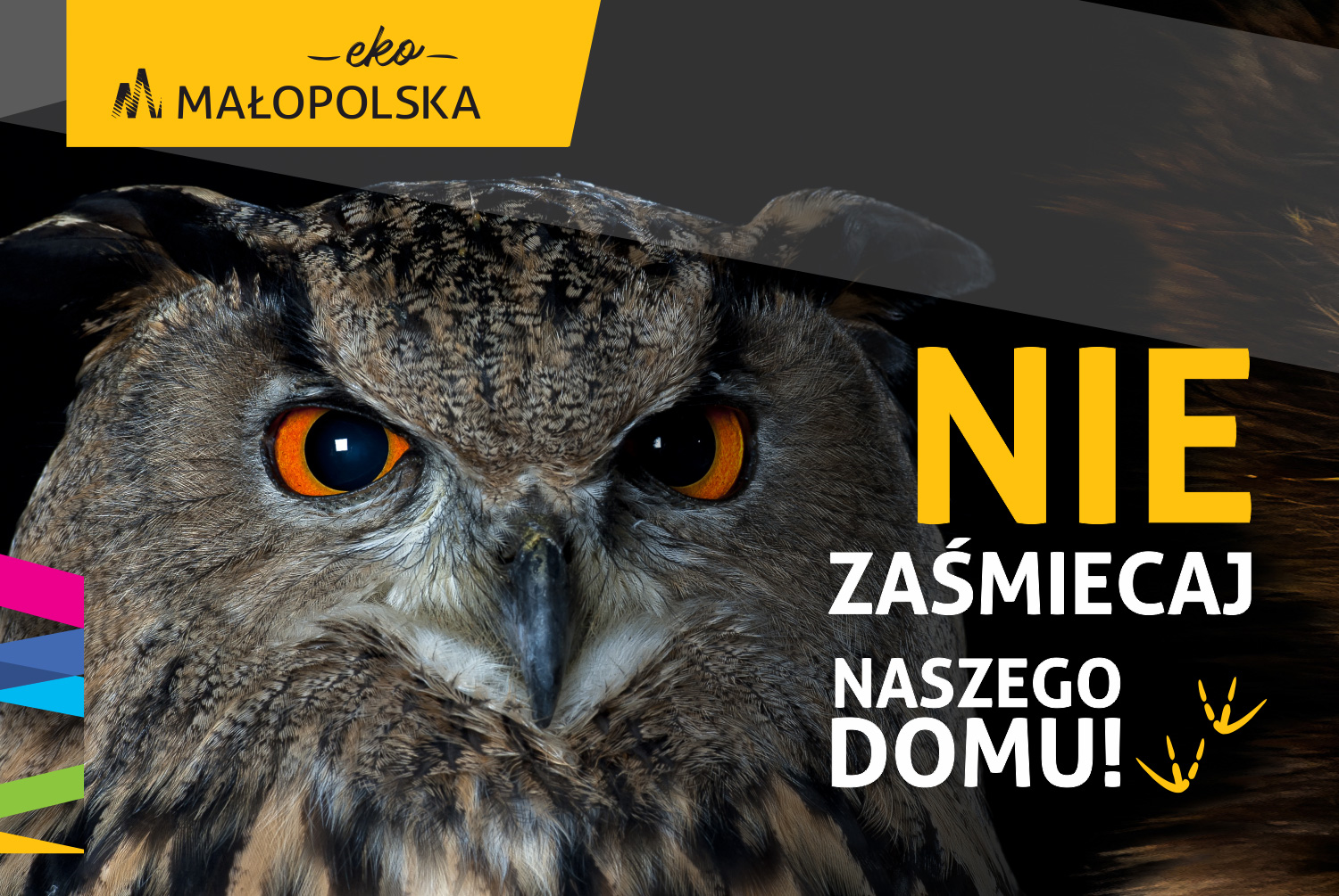 zdjęcie przedstawia sowę - puchacza pospolitego proszącego o niezaśmiecanie jej domu