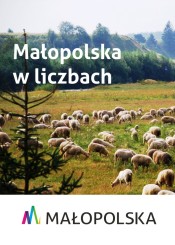 Grafika pn. 