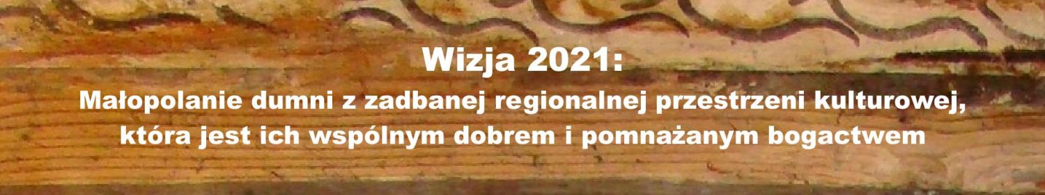 wizja programu