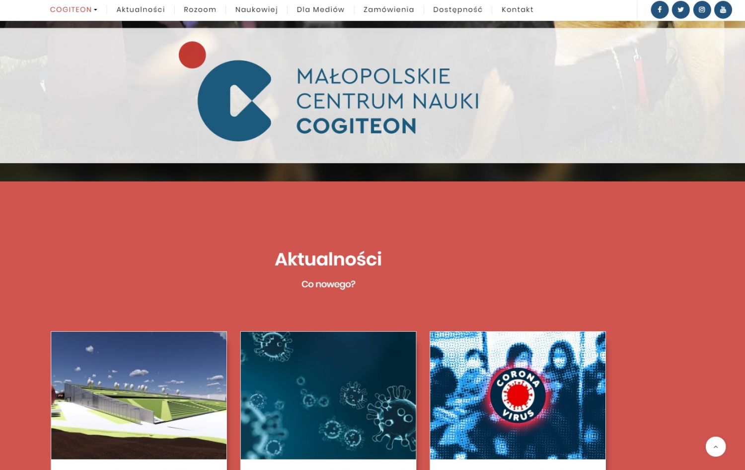 Cogiteon